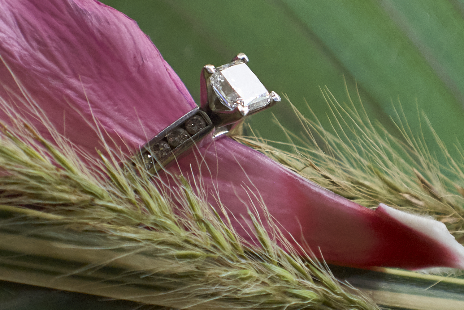 Commercial Photography